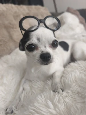 Bella