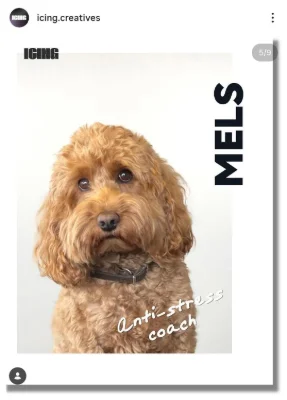 Mels