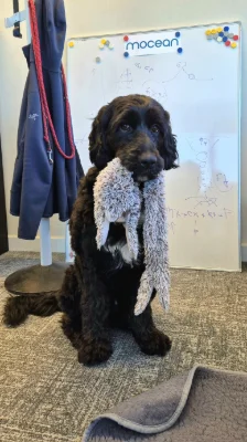 Tobias