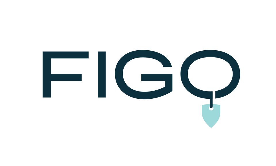 figo-logos-cmyk-02.jpg